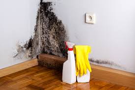 Best Attic Mold Removal  in Greenwood, AR